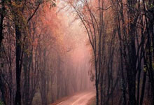 0-0!那不勒斯7轮仅1胜,孔蒂单线近乎缴械,国米盼8连杀亚特兰大.