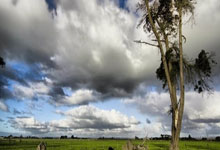 壹号体育:图赫尔:下一场不会有人因为表现不佳被弃用 福登&拉什福德很努力.