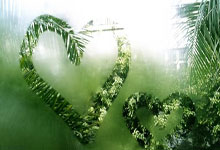 壹号体育:NBA夺冠赔率:凯尔特人领跑 湖人跌出第一梯队.