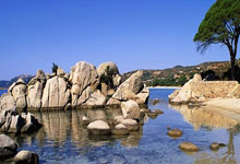 三大外协主力缺席苏杯!网友:苏杯卫冕,中国队再无对手?.